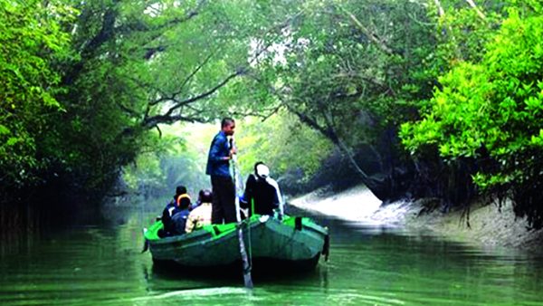 sundarban group tour from dhaka